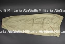 Pantalon des troupes de montagne US