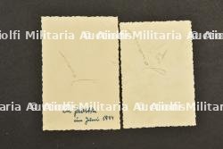 Un lot de photos de soldats allemands avec des françaises — photo 3