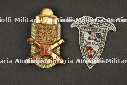 Insigne parachutiste — photo 1
