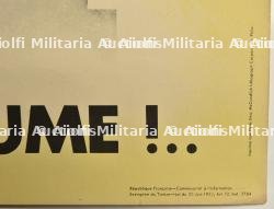 Affiche allié entre le marteau et l’enclume — miniature 2
