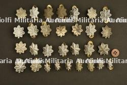 Grades de Lieutenant Colonel US