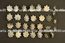 Grades de Lieutenant Colonel US