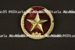 Insignes Armée de l’air nord-vietnamienne