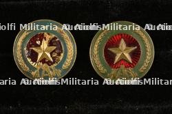Insignes services de sécurité An Ninh et Cong An
