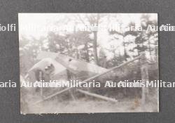 Fanion du 393rd Regt, 99th ID ayant flotté à Krinkelt. Flag of the 393rd RGT that flew over Kringelt. — photo 16