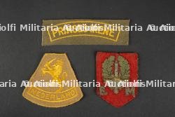 Insignes de manche Régiment Princes Irène