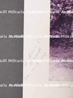 Jumelles du Lieutenant William Amorello. Binoculars of Lieutenant William Amorello. — miniature 13