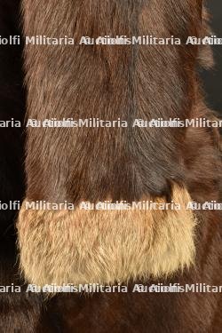 Manteau de vol — miniature 4