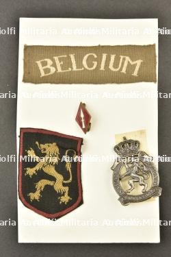 Insignes du 1er Bataillon de fusiliers. Badges of the 1st Fusilier Battalion.