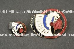 Insignes de la 11e escadrille d’observation, devenue la 21e escadrille. Badges of the 11th Observation Squadron, later the 21st Squadron.