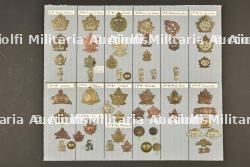 Planche 1 d'insignes canadiens ww1 ex collection André Coillot — photo 1