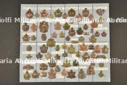 Planche 7 d'insignes canadiens ww1 ex collection André Coillot