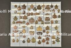 Planche 9 d'insignes canadiens ww1 ex collection André Coillot — photo 1