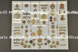 Planche 12 d'insignes canadiens ww1 ex collection André Coillot — photo 1