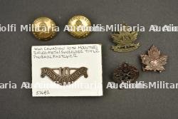 Lot d'insignes de cavalerie canadienne CEF ww1