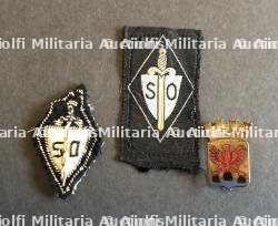 Insignes du SOL