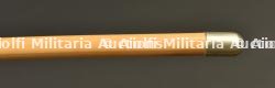 Stick d'officier du Queen's Royal Regiment. — miniature 2