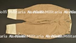 Pantalon culotte troupes d'Afrique. African troops breeches.