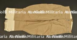 Pantalon culotte troupes d'Afrique. African troops breeches.