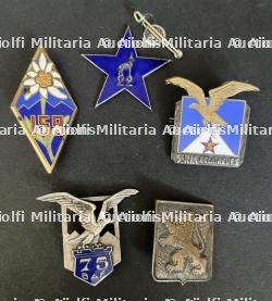 FRANCE TROUPES ALPINES. France Alpine troops