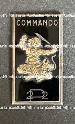 FRANCE COMMANDOS INDOCHINE. France Indochina commandos