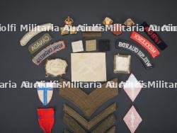 Insignes britannique. British badges. — photo 6