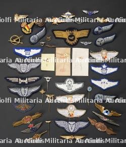 Insignes Air Force. USAAF insignia.