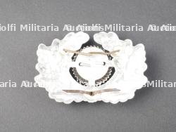 Insignes allemand. German insignias. — photo 5