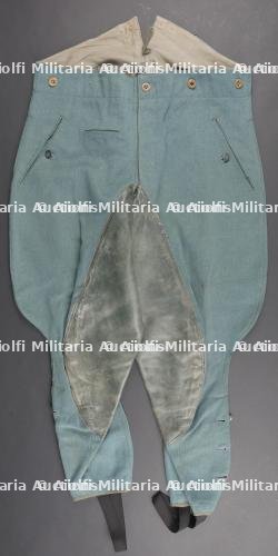 Culotte de cheval Gendarmerie. German Gendarmerie breeches. — photo 1