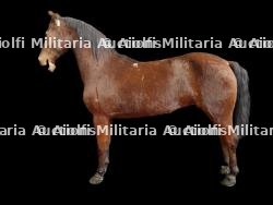 Cheval naturalisé