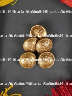 Lot d'épaulettes troupe et boutons — miniature 2