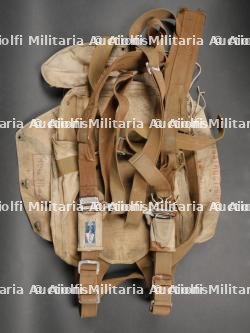 Parachute dorsal TAP 660