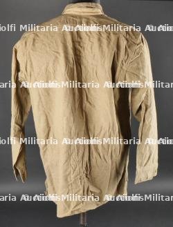 Chemise britannique. — photo 9