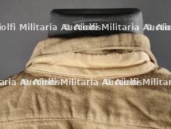 Chemise britannique. — photo 11