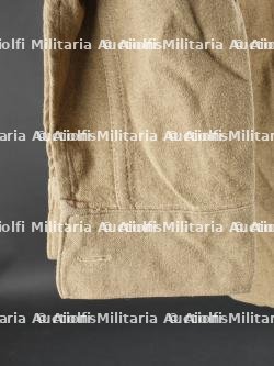 Chemise britannique. — photo 14