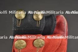 Calots britannique. — photo 2