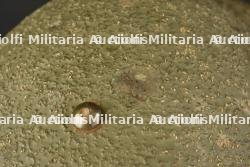 Casque US17A1. — miniature 10