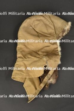 Capuche hivernale. — photo 1