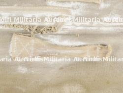 Partie dorsale d'un T5 US. — miniature 3