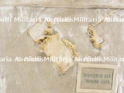 Partie dorsale d'un T5 US. — miniature 7