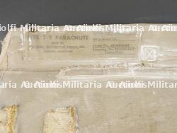 Partie dorsale d'un T5 US. — miniature 8