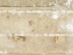 Partie dorsale d'un T5 US. — miniature 13