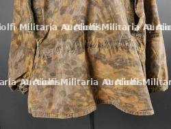 Tarnjacke Palmier. — miniature 7