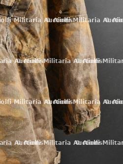 Tarnjacke Palmier. — miniature 10