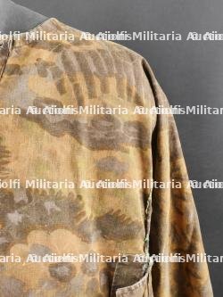 Tarnjacke Palmier. — photo 11