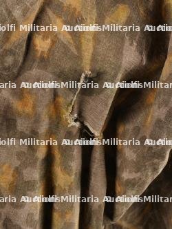 Tarnjacke Palmier. — photo 16
