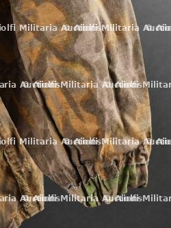 Tarnjacke Palmier. — photo 22