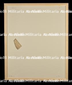 Morceau d'entoilage de planeur US. — photo 2