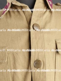 Bourgeron troupe saharien. Bourgeron Saharan troop. — photo 3