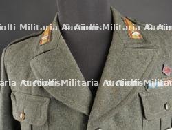 Vareuse de Lieutenant de la division Messina. Messina Division Lieutenant's jacket. — photo 5